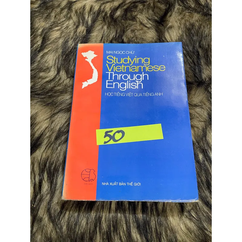 Studying Vietnamese 594203