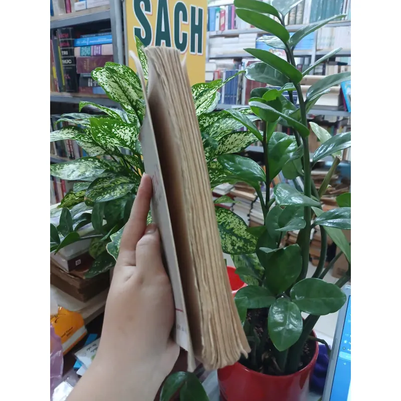 TẢN ĐÀ KHỐI MÂU THUẪN LỚN - TẦM DƯƠNG 1045508