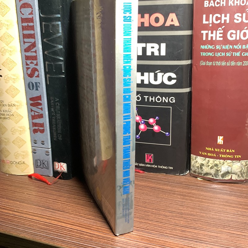 Lược Sử Đoàn Thanh Niên Cộng Sản Hồ Chí Minh Và Phong Trào Thanh Thiếu Nhi Việt Nam  187420