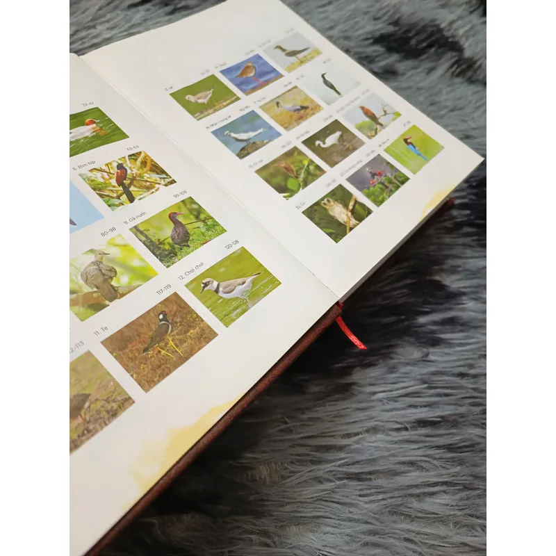 Các loài chim Việt Nam (Lê Mạnh Hùng) 736179