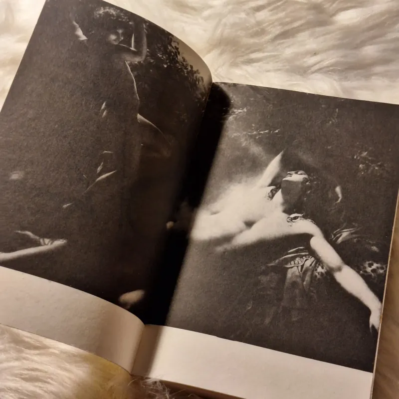 Roland Barthes - S/Z: An Essay 780035