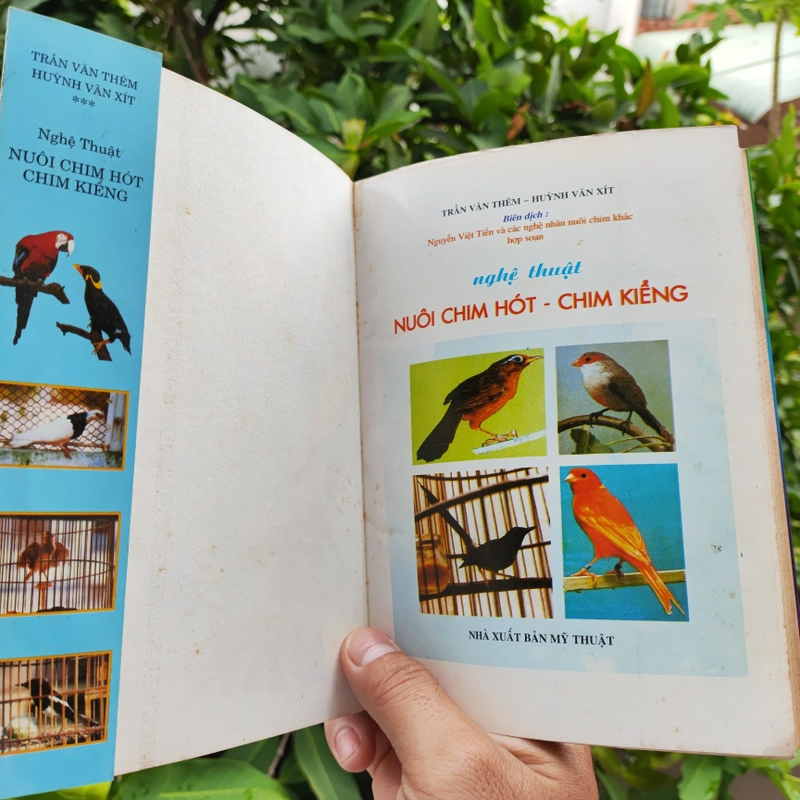 Nghệ Thuật Nuôi Chim Hót - Chim Kiểng 532116