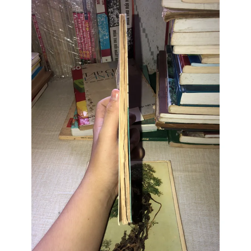 Chế tác non bộ 970633