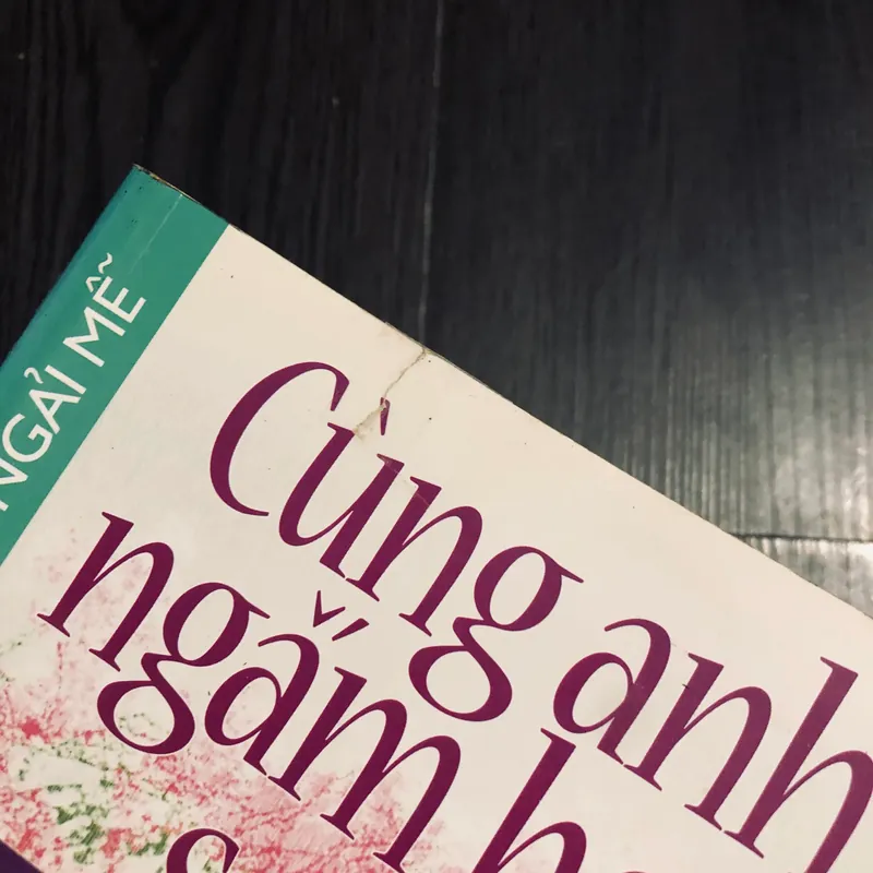 Cùng anh ngắm hoa sơn trà 563923