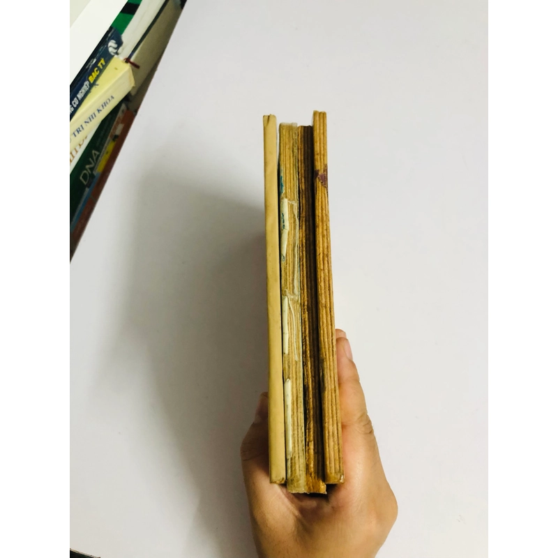 BỘ 4 TẬP LÝ TIỂU LONG VÕ CÔNG TOÀN THƯ ( Lạc Việt - Phạm Xuân Thảo) 541584