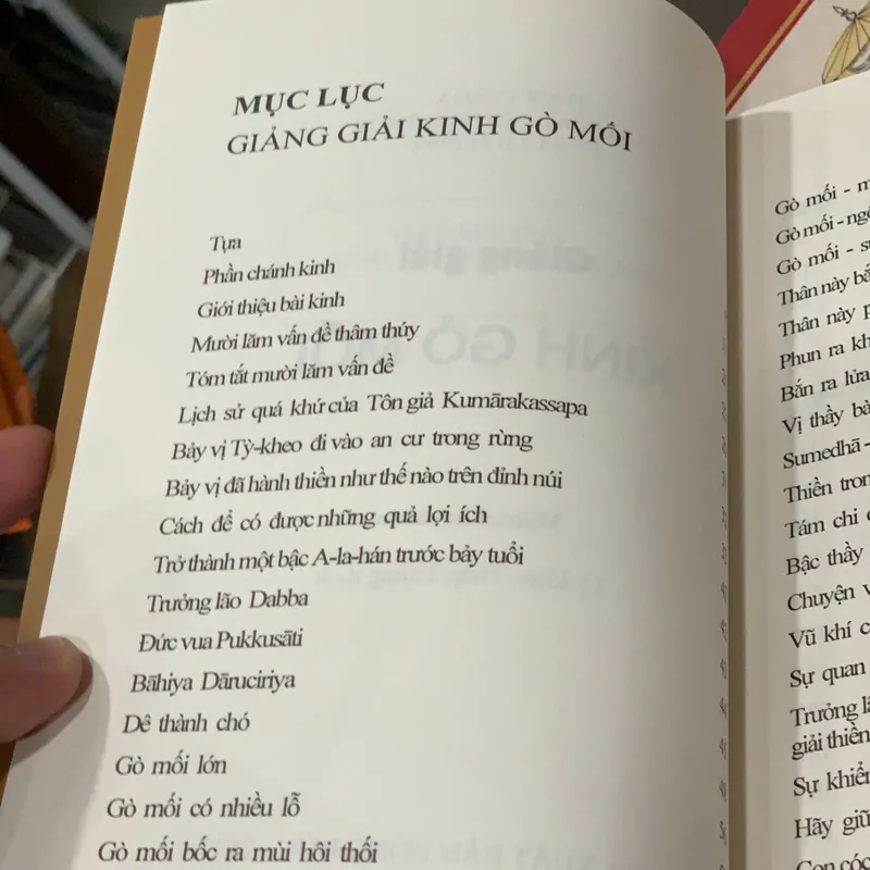 Kinh gò mối 577862
