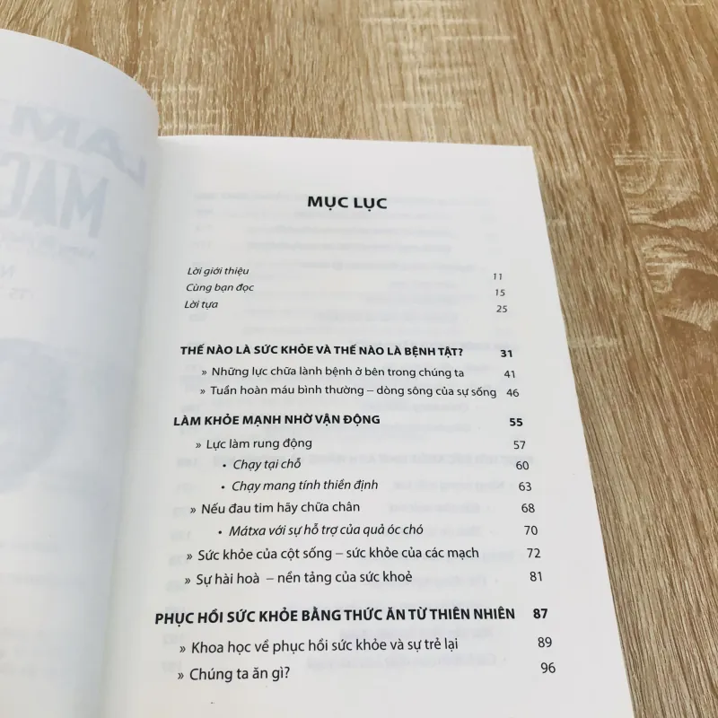 LÀM SẠCH MẠCH MÁU  968660