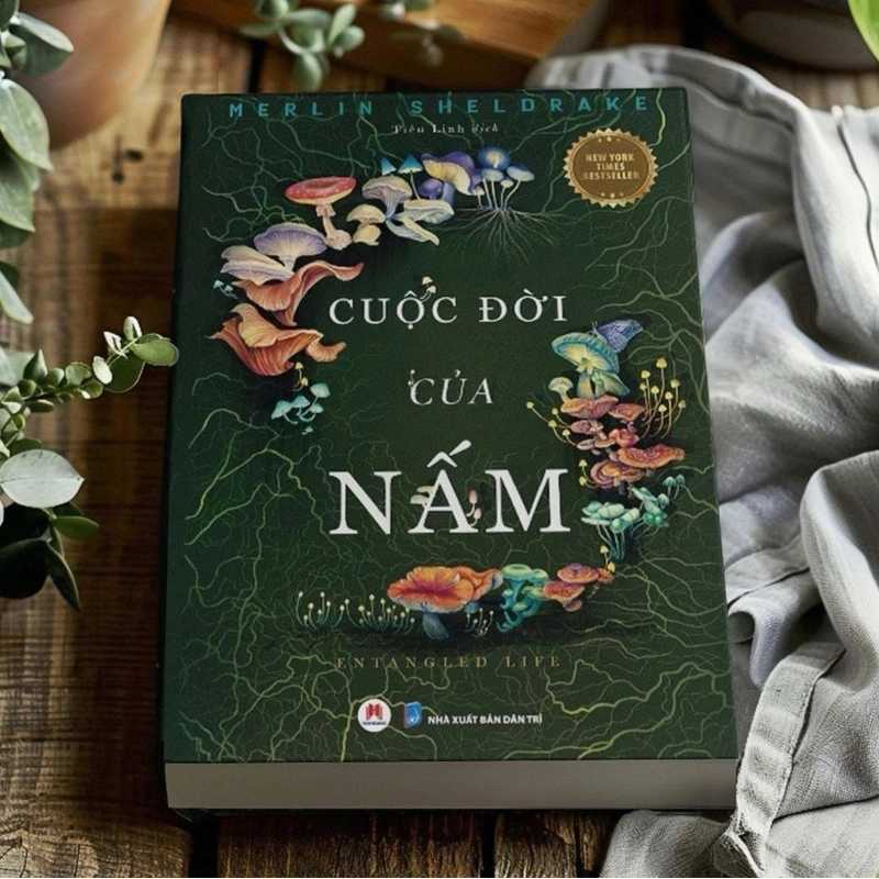 Cuộc đời của nấm | Merlin Sheldrake 526920