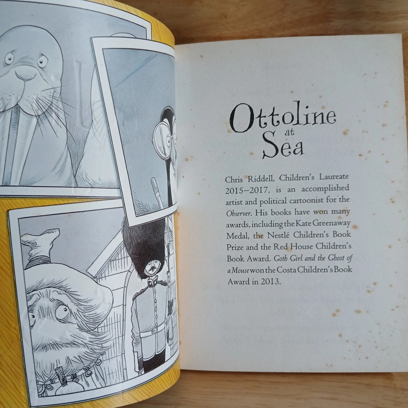 Ottoline At Sea - Chris Riddell 475713