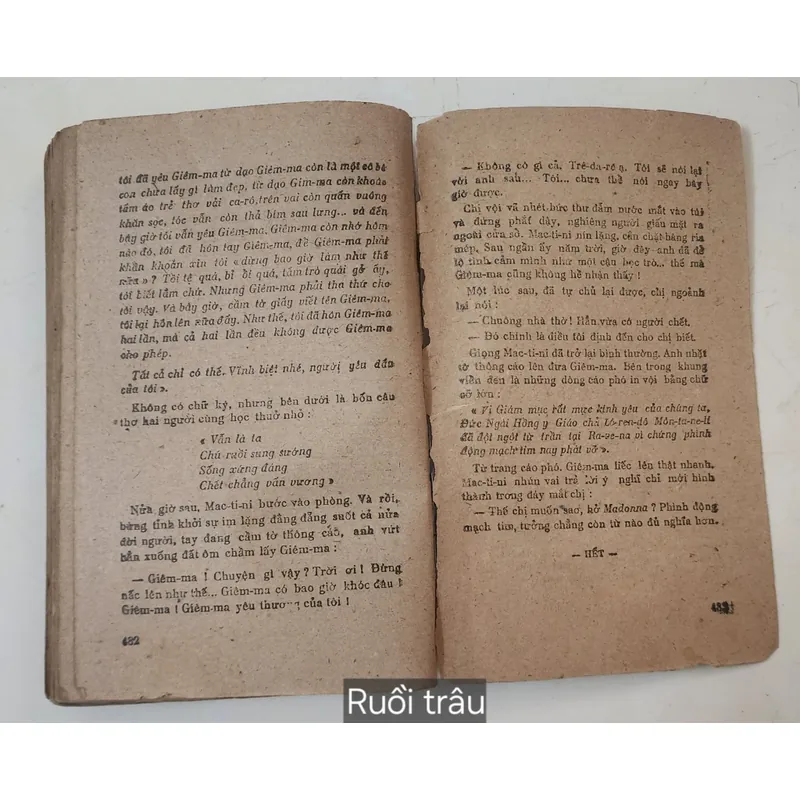 Tác phẩm văn học kinh điển RUỒI TRÂU (Ethel Lilian Voynich
) 719083