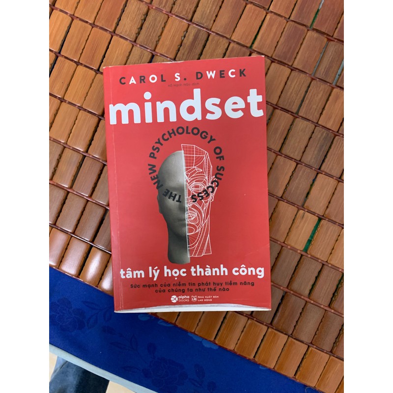 Mindset tâm lý học thành công 71530