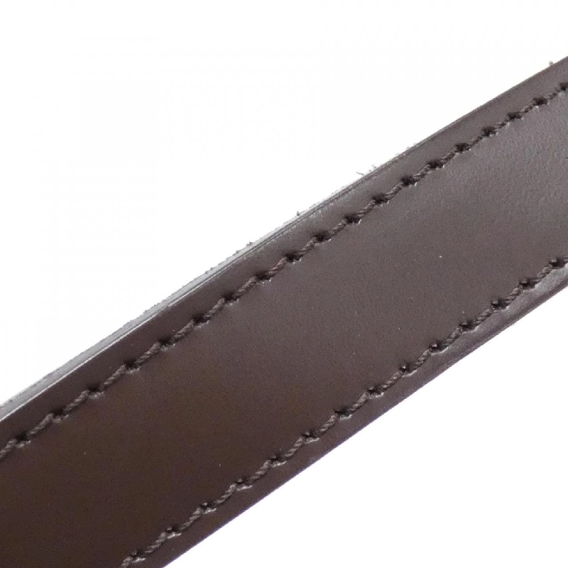 Túi xách Louis Vuitton Damier Trevi PM N51997 - Hàng hiệu Chính hãng 805663