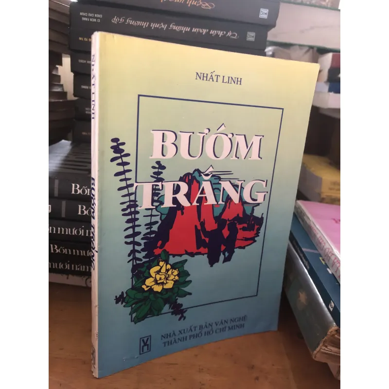 Bướm trắng 1039843