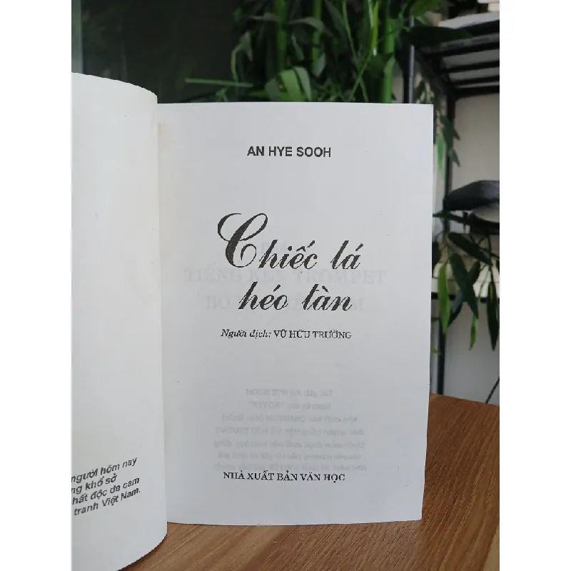 Chiếc lá héo tàn – An Hye Sook 558486