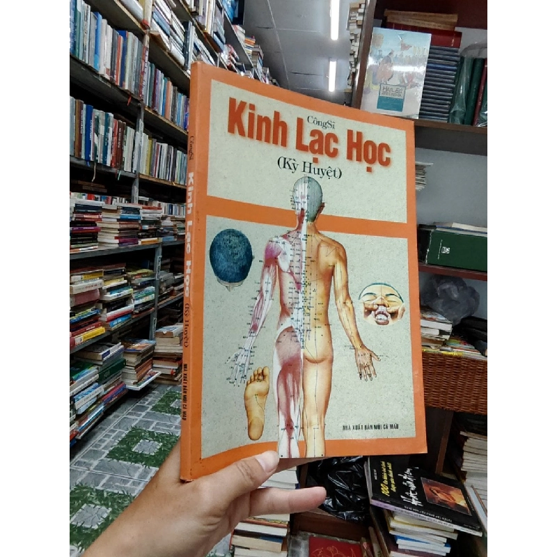 Kinh lạc học (kỳ huyệt) - Công Sĩ 1006668