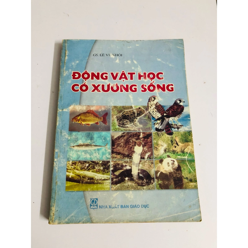 ĐỘNG VẬT HỌC CÓ XƯƠNG SỐNG 528062