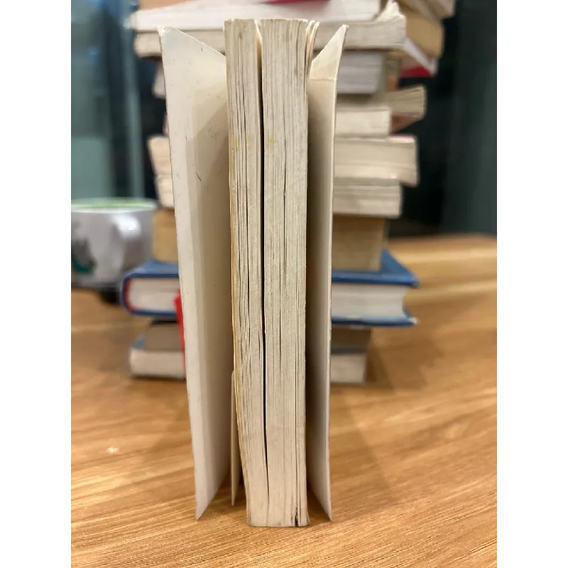 Những quy tắc để giàu có (The Rules of Wealth) – Richard Templar 570761