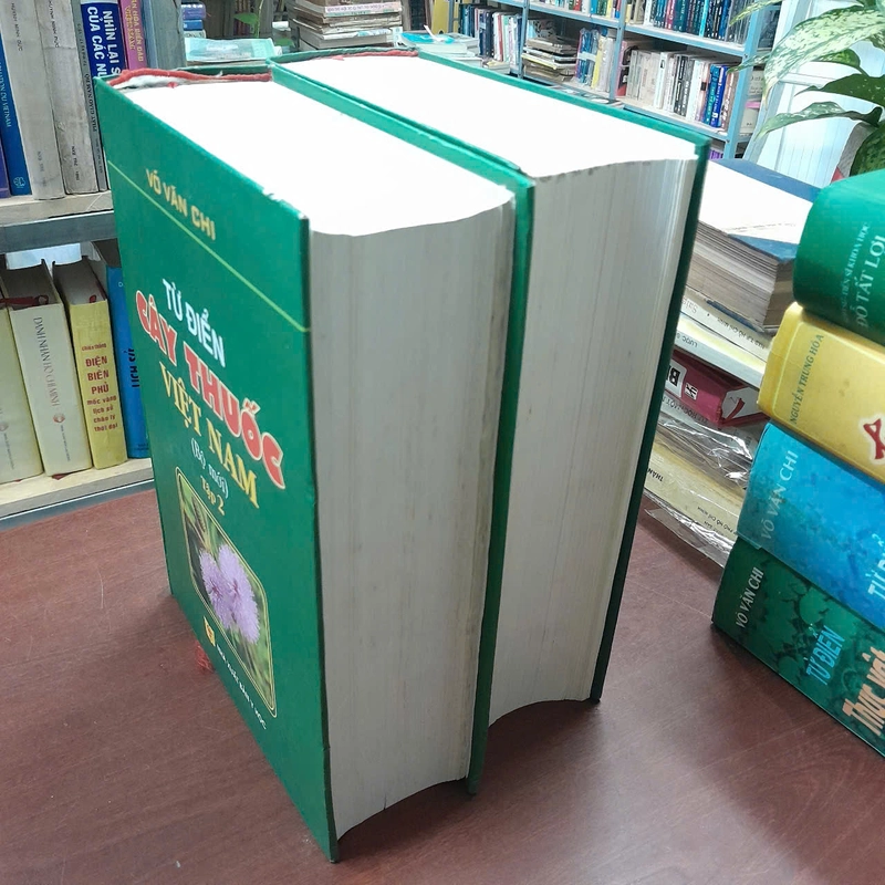 TỪ ĐIỂN CÂY THUỐC VIỆT NAM - VÕ VĂN CHI 455989