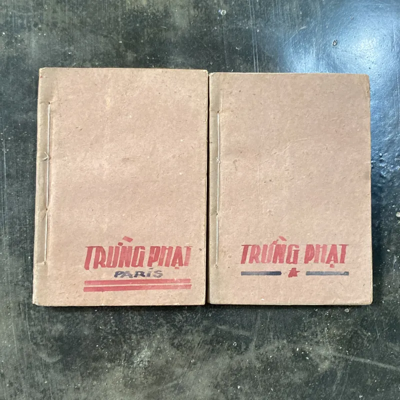 Trừng phạt  1029929