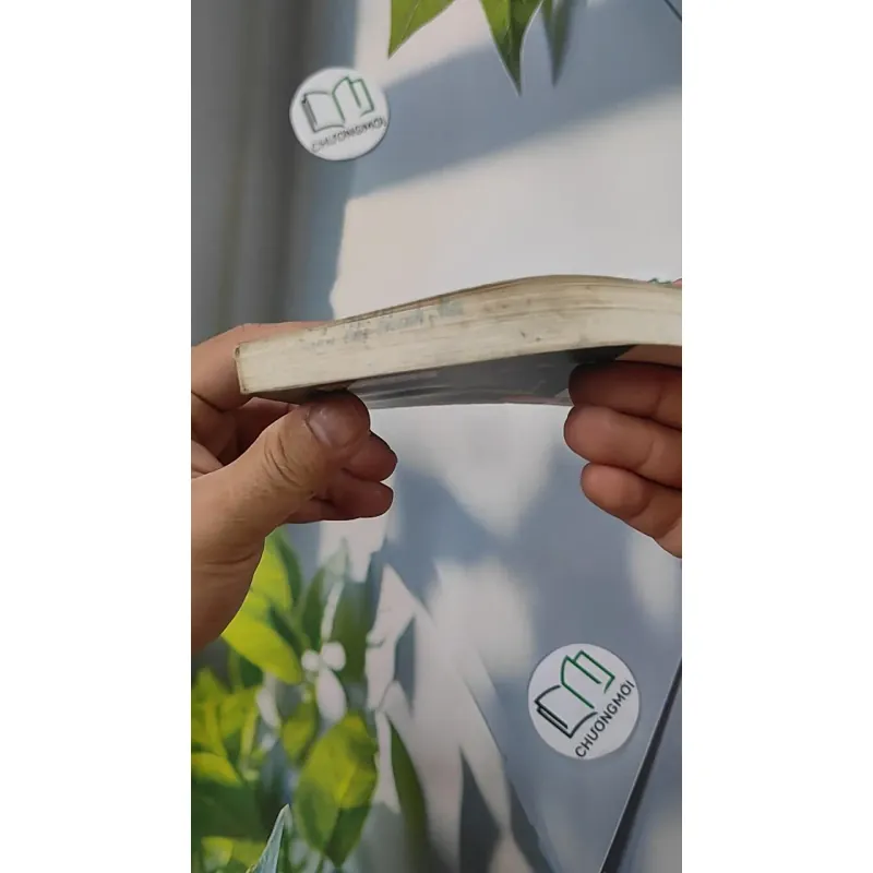 Điện Biên Trong Tôi - Đoàn Hoài Trung 798301