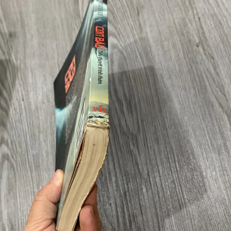 Cơn bão - Oystein Torsud 1023432