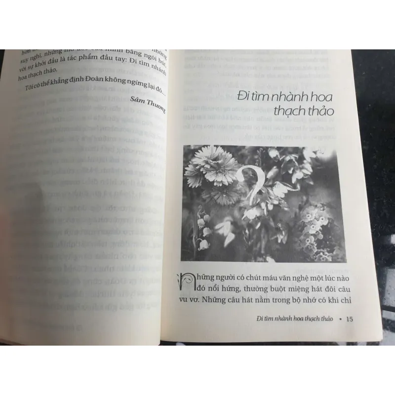 Đi Tìm Nhành Hoa Thạch Thảo 694440