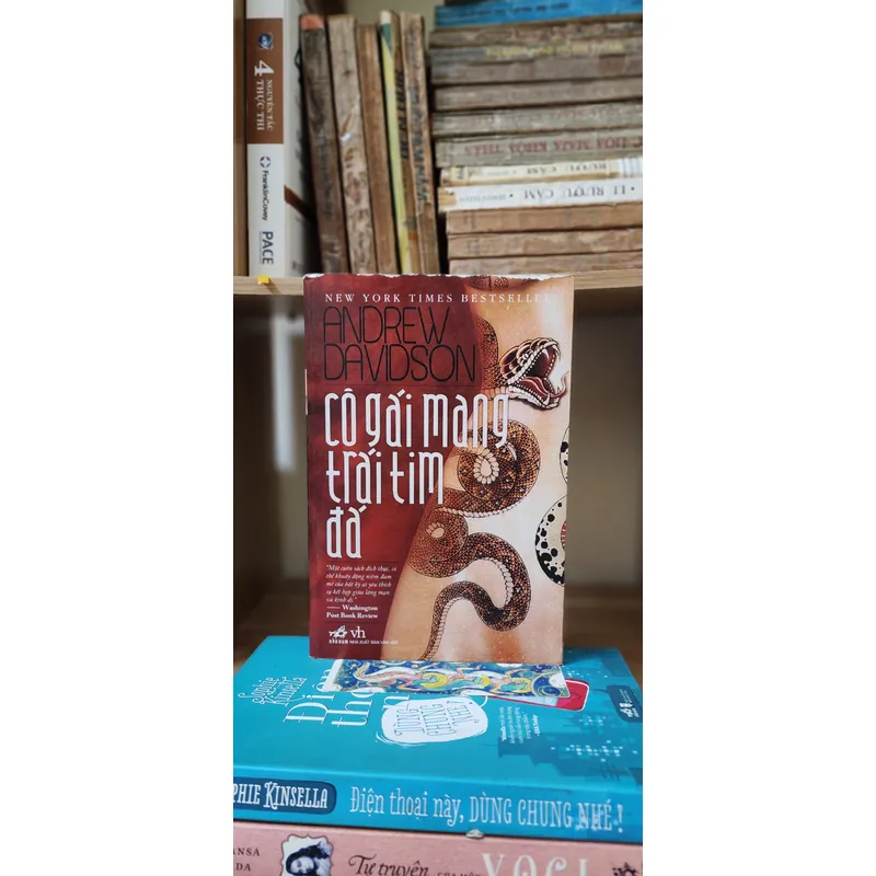 Tiểu thuyết: CÔ GÁI MANG TRÁI TIM ĐÁ - Tác giả: Andrew Davidson 705532