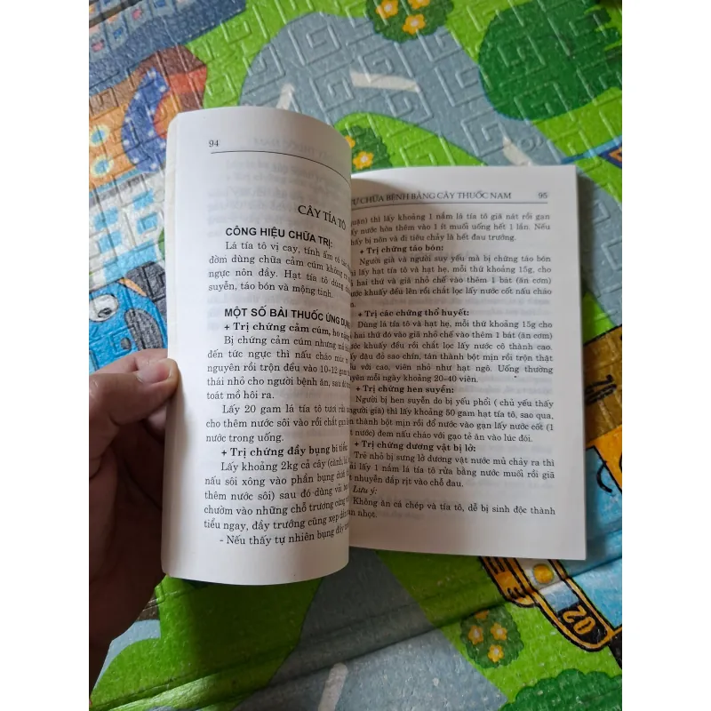 Tự Chữa Bệnh Bằng Cây Thuốc Nam 1021314
