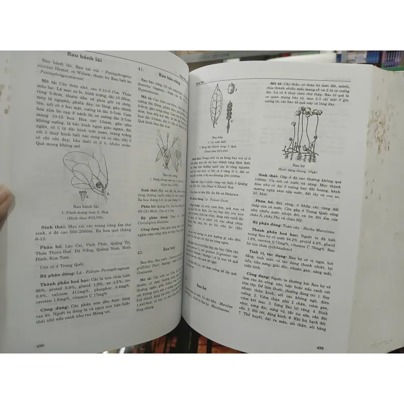 TỪ ĐIỂN CÂY THUỐC VIỆT NAM - VÕ VĂN CHI 455989
