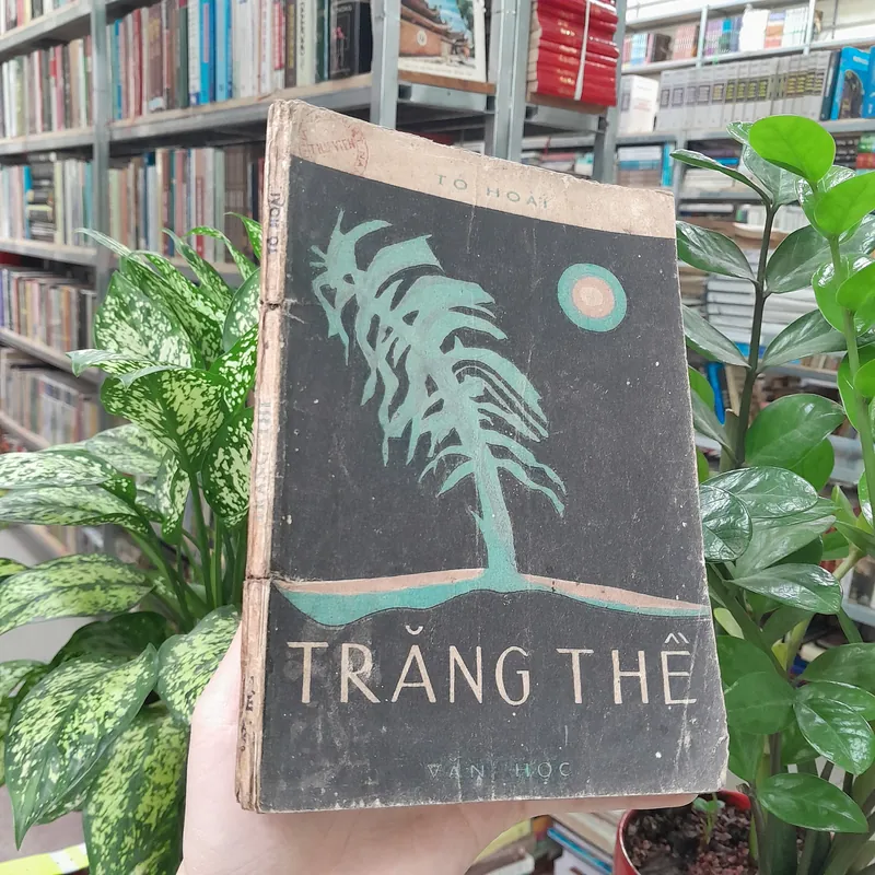 TRĂNG THỀ - TÔ HOÀI 729073