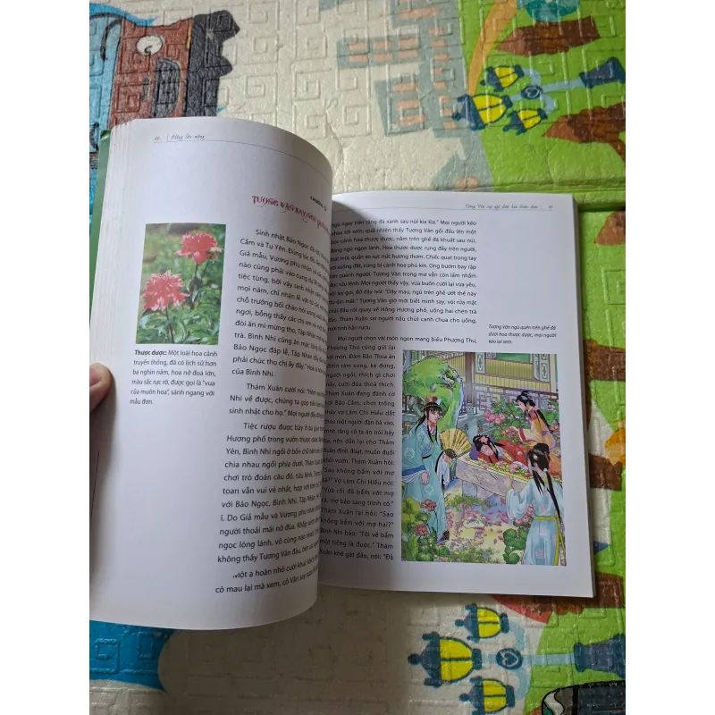 Hồng Lâu Mộng 957892