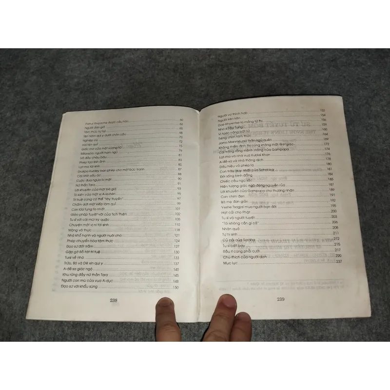 SƯ TỬ TUYẾT BỜM XANH 570802
