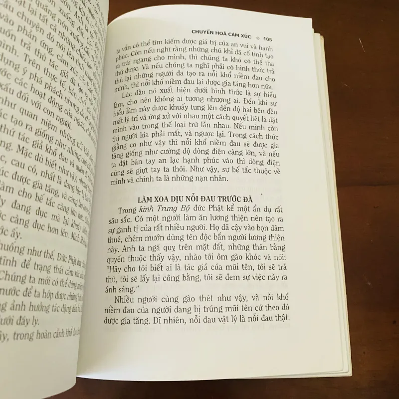 Chuyển hoá cảm xúc  975921