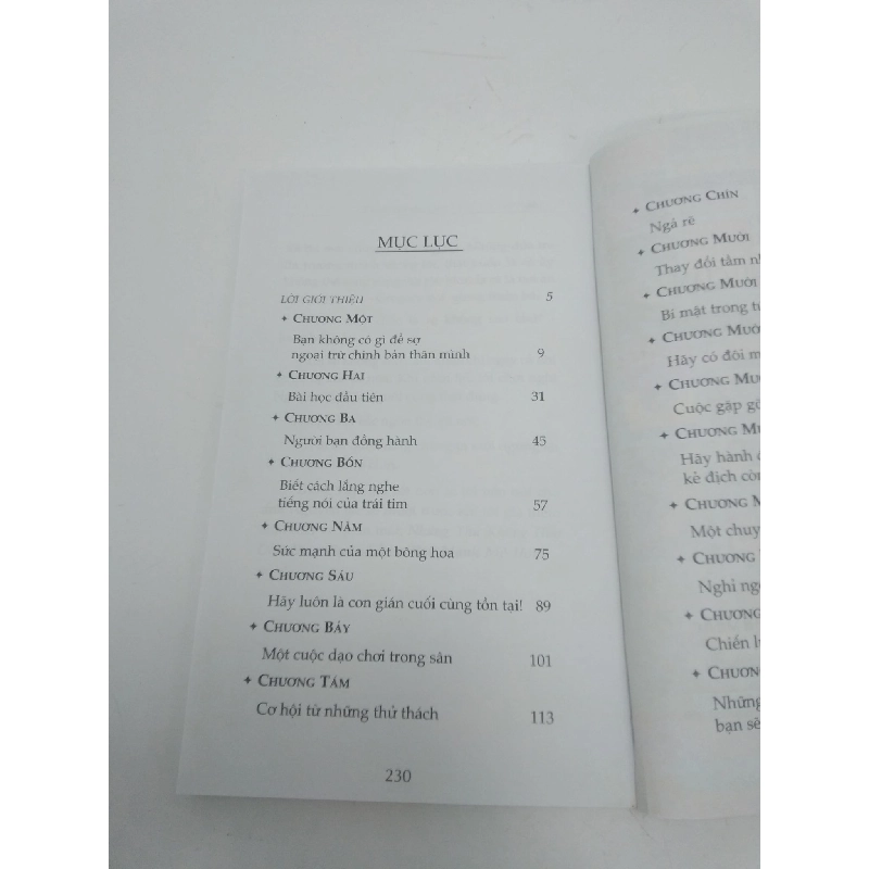 Chuyện của chú gián giải pháp tối ưu cho bạn năm 2009 mới 80% ố nhẹ HCM2311 912817