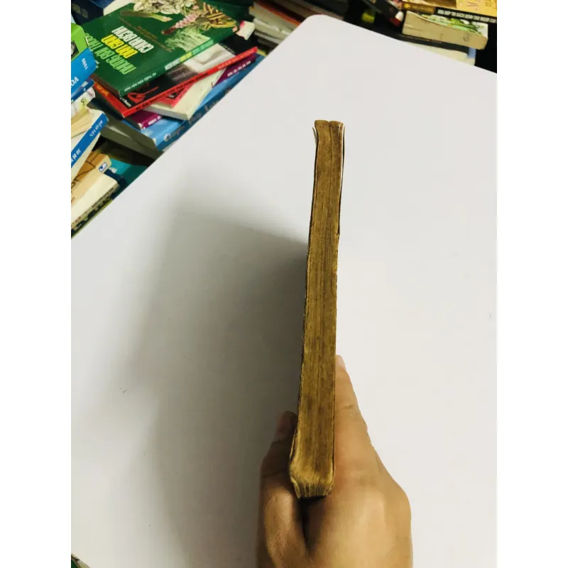 THẰNG NGƯỜI GỖ (Les aventures de Pinocchio) 1952 795545