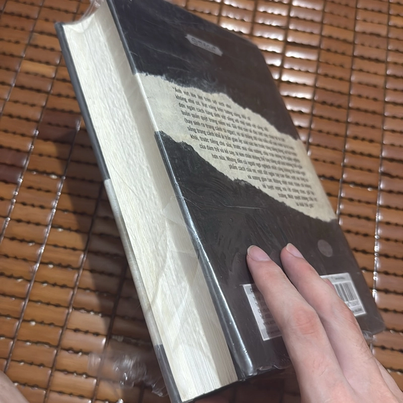 Con chim sẻ vàng - Donna Tartt 523635