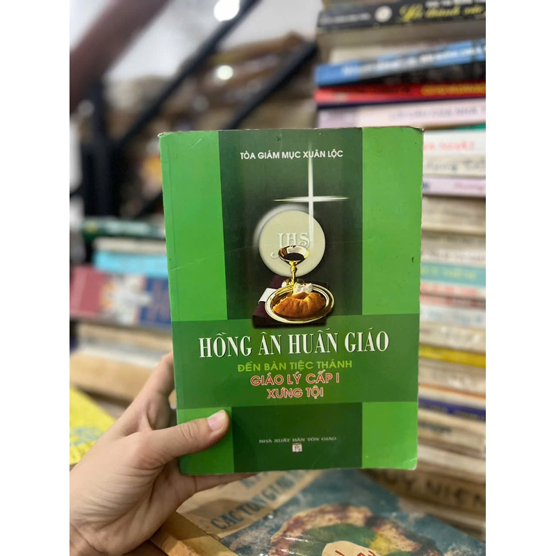 Hồng Ân Huấn Giáo (Giáo Lý Cấp I - Xưng Tội) 461031