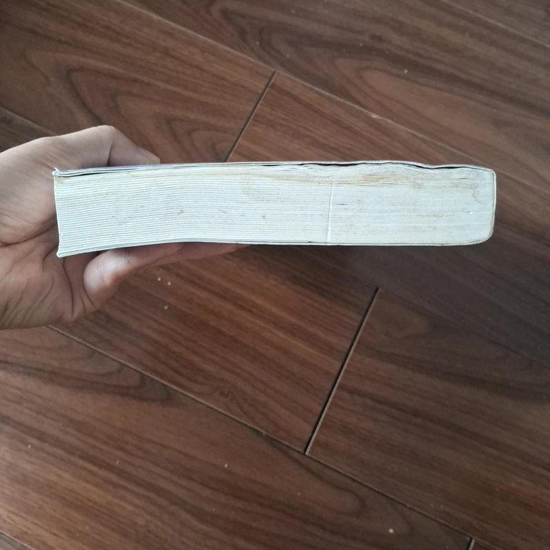 Anh có thích nước mỹ không 509963