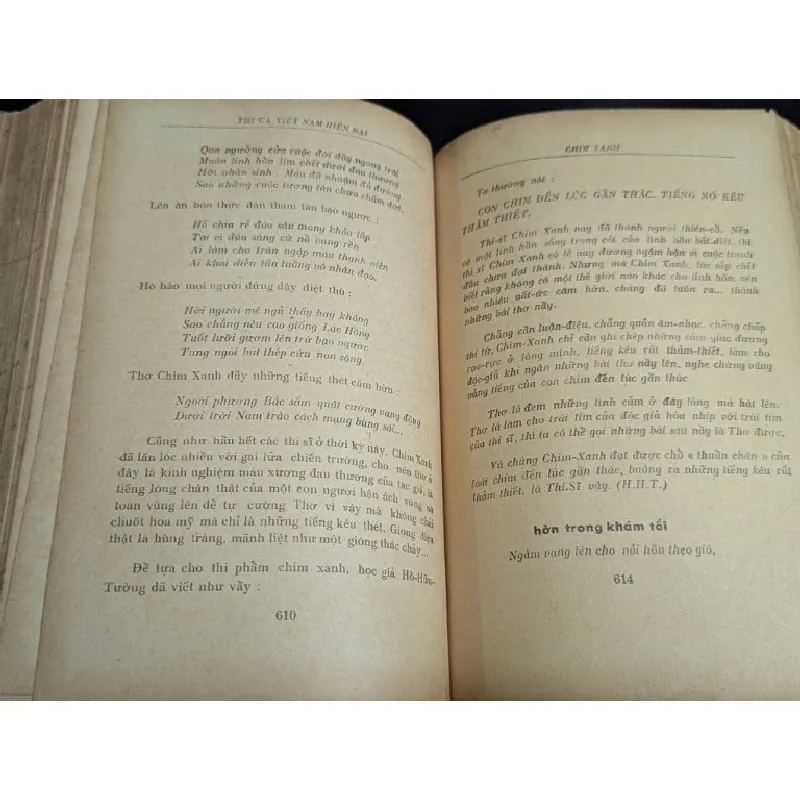 Thi ca việt nam hiện đại - Trần Tuấn kiệt 727107