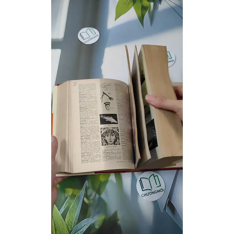 [MIỄN PHÍ BỌC SÁCH] [XƯA] Petit Larousse Illustré 1975 (1975) 990436