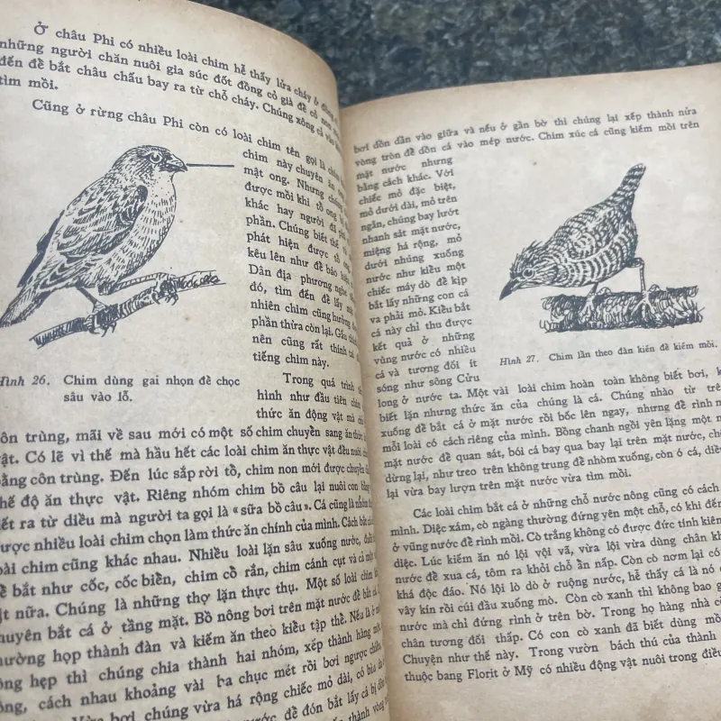 Đời sống các loài chim Võ Quý XB 1977 763312