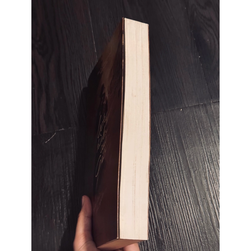 Bóng hình của gió 472343