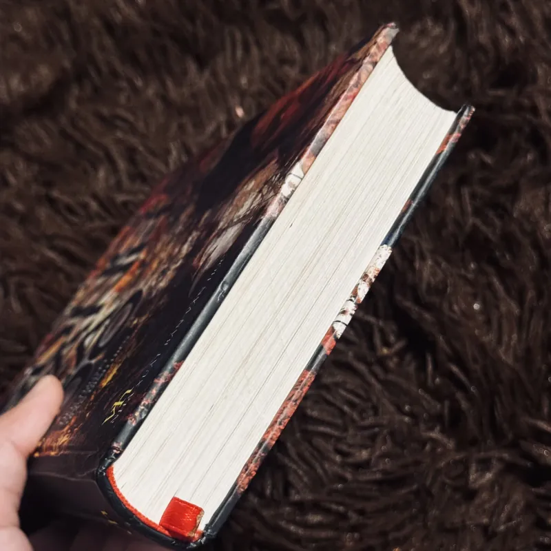 Rừng xanh lá đỏ 996357