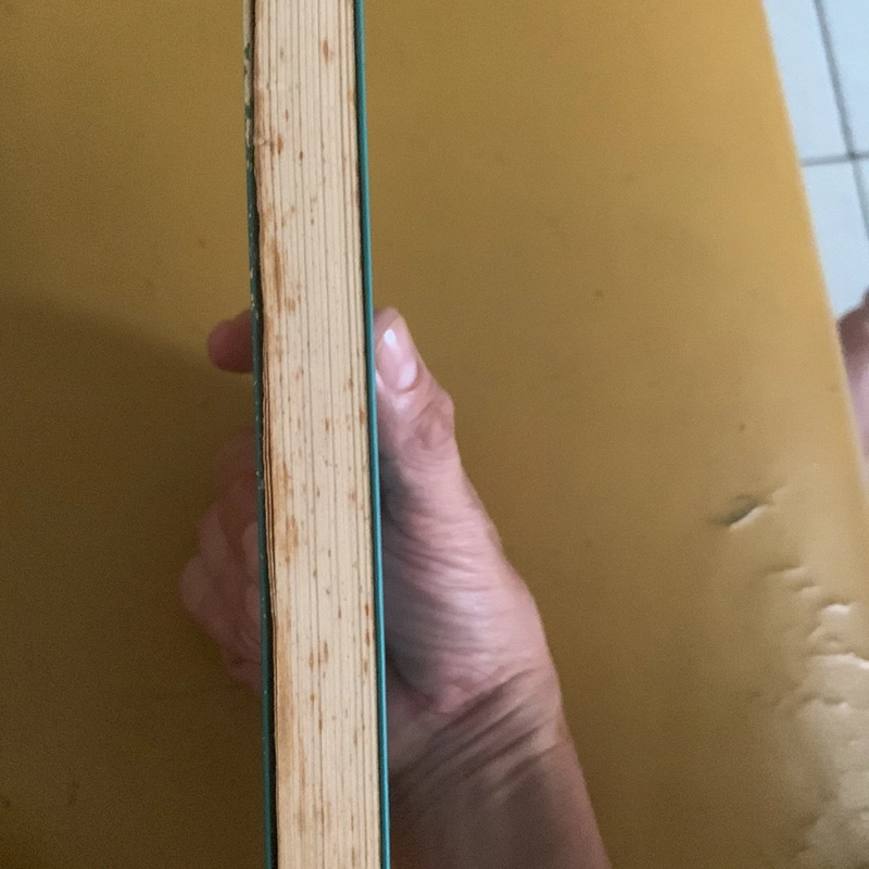 Một cơn gió bụi - Trần Trọng Kim 300962