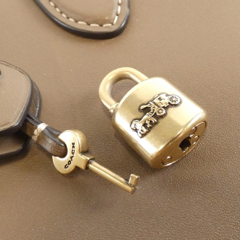 Túi Coach CC411 617833