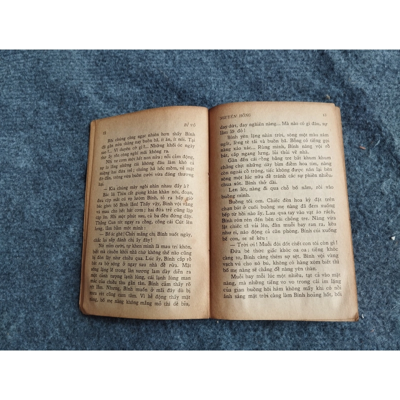 BỈ VỎ - NGUYÊN HỒNG 478547