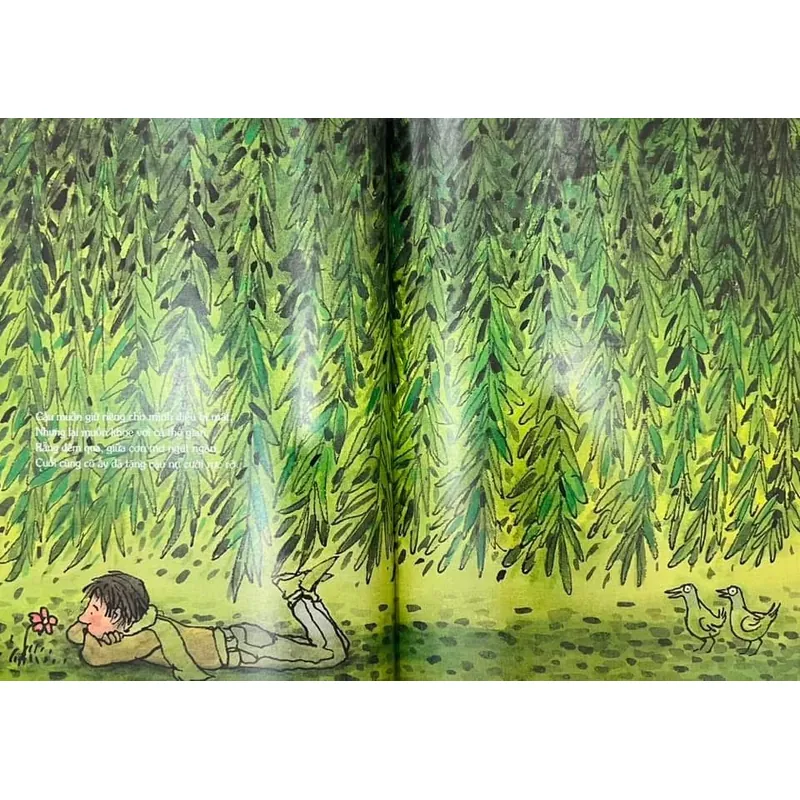 Ôi Tình Yêu - Jimmy Liao 589092