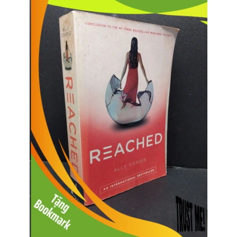 (TẶNG BOOKMARK) Reached mới 70% ố vàng RBK1406 Ally Condle SÁCH NGOẠI VĂN 951208