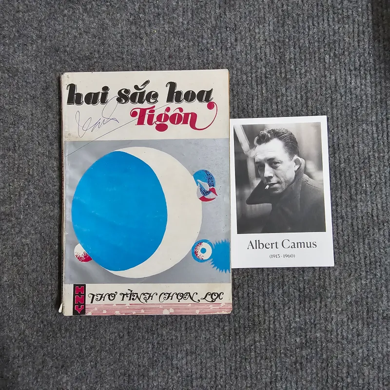 Hai sắc hoa tigon 990997