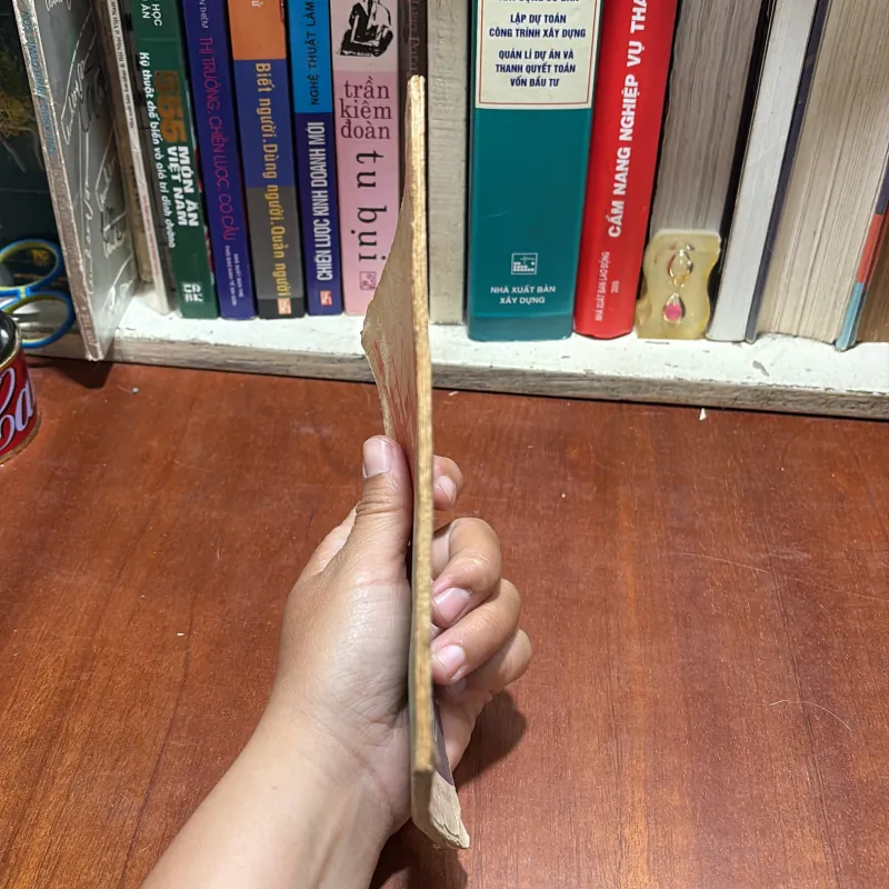 [Sách 8x] - II Văn Học Lịch Sử: Người Phụ Nữ Mới - 1985 797584